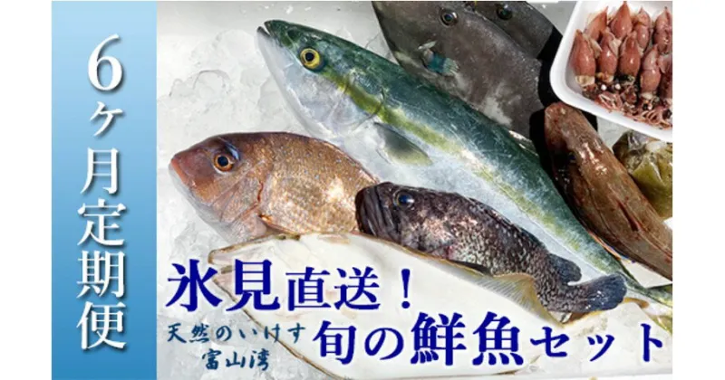 【ふるさと納税】〈6ヶ月定期便〉 天然のいけす 富山湾 氷見漁港直送！ 旬の鮮魚セット※配送地域限定 富山 氷見 直送 詰め合わせ 定期便 鮮魚ボックス