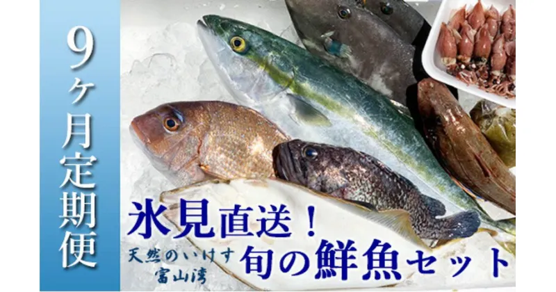 【ふるさと納税】〈9ヶ月定期便〉天然のいけす 富山湾 氷見漁港直送！ 旬の鮮魚セット※配送地域限定 富山 氷見 直送 詰め合わせ 定期便 鮮魚ボックス