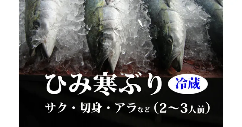 【ふるさと納税】 ＜先行予約＞ ひみ寒ぶり　サク・切身・あら　約2、3人分 富山県 氷見市 能登 鮮魚 刺身 柵 寒ブリ 寒ぶり 寒鰤 ブリ 期間限定