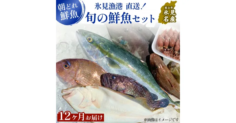 【ふるさと納税】【定期便12ヶ月 】天然のいけす 富山湾 氷見漁港 旬の鮮魚セット 直送 詰め合わせ 鮮魚ボックス 富山県 氷見市