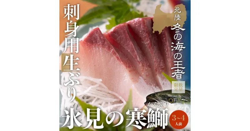 【ふるさと納税】 ＜先行予約＞【魚問屋直送】天然「生ひみ寒ぶり」刺身用 約400g〜800g ｜　富山湾 氷見 氷見漁港 能登 寒ブリ 天然鰤 サク 処理 松本魚問屋 天然 鮮魚 ブリ 産地直送 切り身 サシミ 期間限定