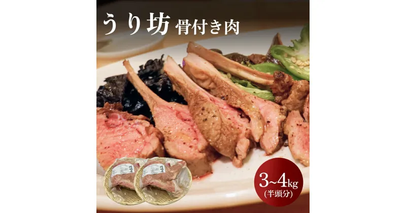 【ふるさと納税】＜先行予約＞うり坊　骨付き肉　半頭分（約3kg~4kg）＜11月以降順次発送＞　富山県 氷見市 猪 ジビエ ウリ坊 肉 BBQ 鍋