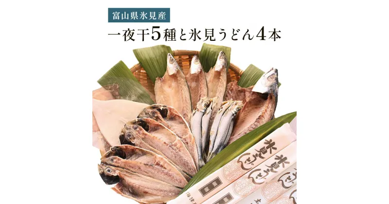 【ふるさと納税】氷見 堀与おすすめ一夜干5種と氷見うどん4本 富山県 氷見市 干物 詰め合わせ 食べ比べ セット うどん