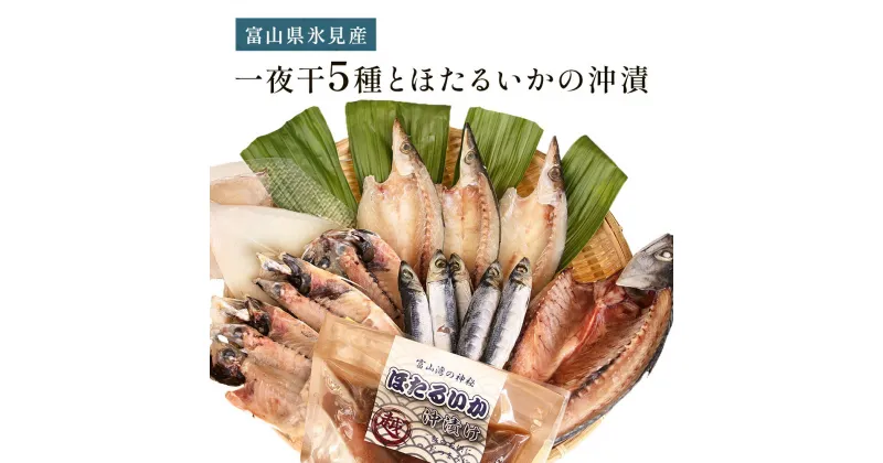 【ふるさと納税】氷見 堀与 一夜干5種とほたるいかの沖漬 富山県 氷見市 干物 詰め合わせ 食べ比べ セット ホタルイカ