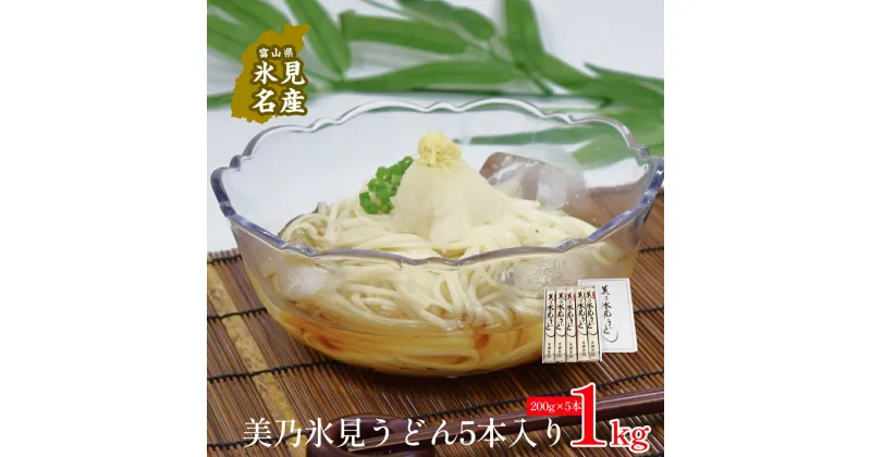 【ふるさと納税】美乃氷見うどん5本入り（200g×5本） 富山県 氷見市 うどん 乾麺