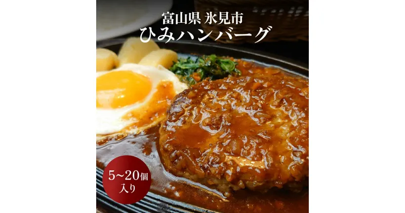 【ふるさと納税】ひみハンバーグ 5-20個 ｜ ソース付き ミートソース 氷見牛 ブランド牛 国産 柔らか ハンバーグ 湯煎 冷凍 おかず 惣菜 温めるだけ 簡単調理 お取り寄せ 小分け 富山 氷見