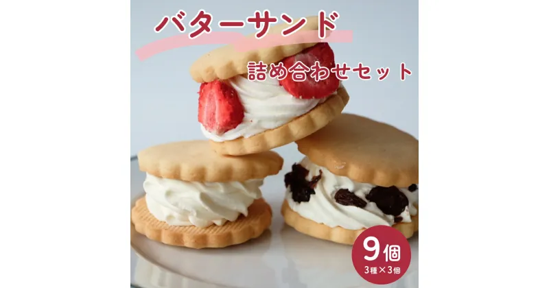 【ふるさと納税】バターサンド 3種×3個 詰め合わせセット　 | バタークッキー バタークリーム 冷凍 ラムレーズン いちご スイーツ 洋菓子 菓子 3種 詰め合わせ お取り寄せ 富山県 氷見市