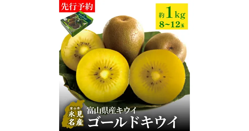 【ふるさと納税】【先行予約】富山県産キウイ（ゴールドキウイ）約1kg（8～12玉） ＜11月中旬以降順次発送＞ | 数量限定 希少 富山 氷見 ゴールドキウイ 国産 キウイフルーツ ギフト 甘い