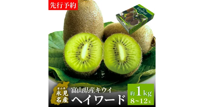 【ふるさと納税】【先行予約】富山県産キウイ（ヘイワード）約1kg（8～12玉）＜12月中旬以降順次発送＞ | 国産 数量限定 グリーンキウイ 富山 氷見 果物 フルーツ キウイ