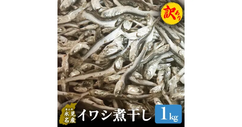 【ふるさと納税】 〈訳あり〉 氷見産 煮干し1kg | イワシ いわし 鰯 訳アリ 業務用 つまみ 干物 おやつ 乾物 出汁 だし 味噌汁 魚介 国産 富山 氷見 氷見漁港 常温 カルシウム 新鮮 無添加 産地直送