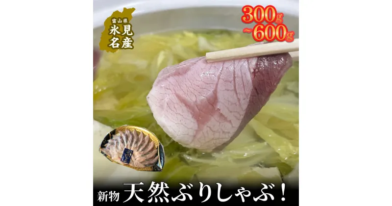 【ふるさと納税】【氷見鰤】新物天然ぶりしゃぶ！300g または 300g×2　2〜3人用　お試しサイズ＜12月以降順次発送＞ | 鰤 ブリしゃぶ しゃぶしゃぶ 国産 天然 ブリ 富山 氷見 お取り寄せ 特産品 冷凍 肴 氷見漁港 富山湾 天然鰤 鍋 簡単調理