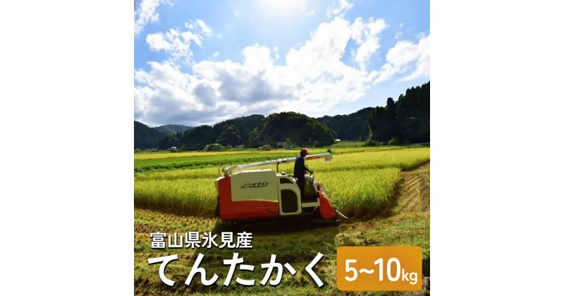 【ふるさと納税】令和6年産 富山県氷見産 てんたかく 数量 ・ 種類が 選べる 5kg or 10kg 玄米 3分づき 5分づき 白米 無洗米