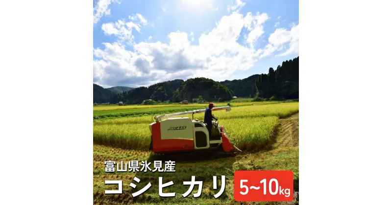 【ふるさと納税】令和6年産 富山県氷見産 コシヒカリ 数量 ・ 種類が 選べる 5kg or 10kg 玄米 3分づき 5分づき 白米 無洗米 | 富山県 氷見市 米 こしひかり