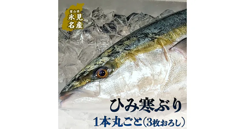 【ふるさと納税】＜先行予約＞ひみ寒ぶり1本（3枚おろし 富山県 氷見 寒鰤 3枚卸