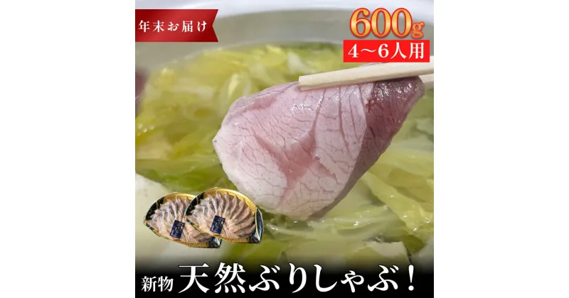 【ふるさと納税】＜年末お届け＞ 新物天然ぶりしゃぶ！300g×2パック 2〜3人用/1パック | 天然ブリ しゃぶしゃぶ 氷見漁港