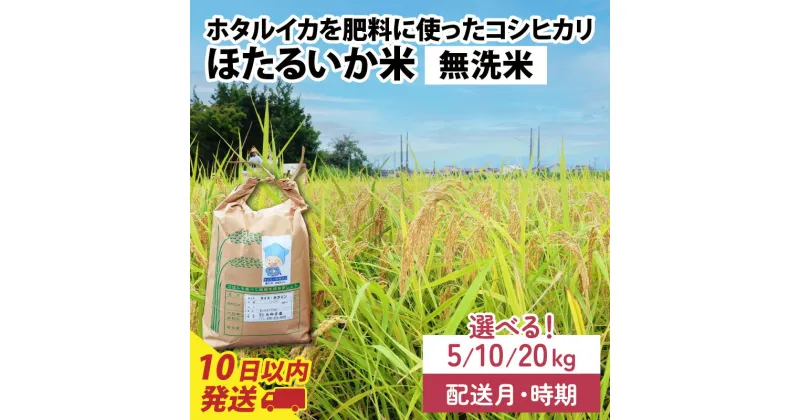 【ふるさと納税】【訳あり】ほたるいか米（無洗米）選べる容量（5kg／10kg／20kg）選べる配送時期（1月～12月※各月上旬／中旬／下旬）【通年発送】 9月より新米！ / 農家直送 訳あり お米 おこめ こしひかり コシヒカリ ホタルイカ 富山県 滑川市 国産 送料無料