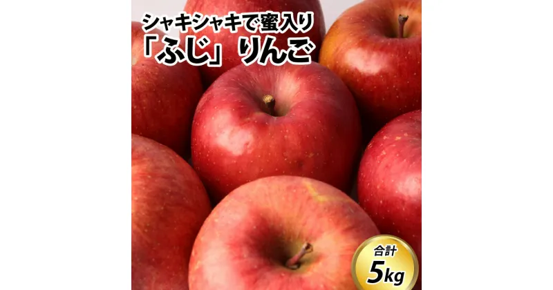 【ふるさと納税】【先行予約】りんご 5kg【24年11月中旬以降順次発送】 / ふじ 5kg 蜜入り 無袋 期間限定 常温発送 リンゴ 林檎 フルーツ 果物 富山県 滑川市