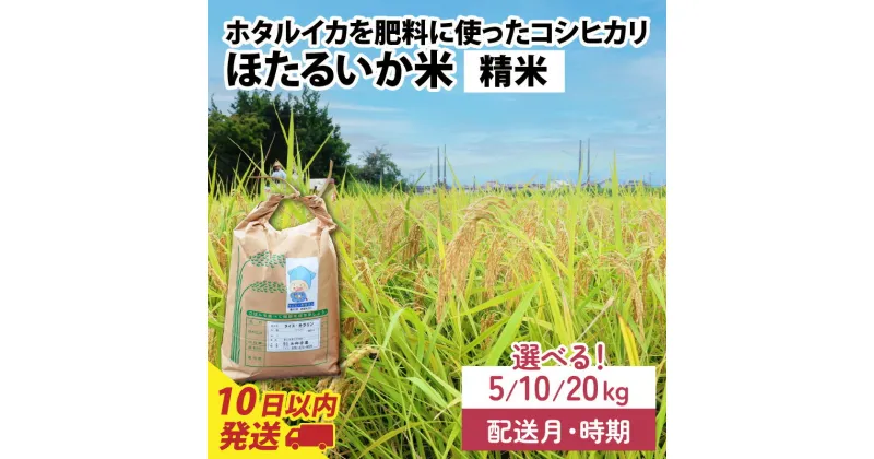 【ふるさと納税】【訳あり】ほたるいか米（精米）選べる容量（5kg／10kg／20kg）選べる配送時期（1月～12月※各月上旬／中旬／下旬）【通年発送】 9月より新米！ / 農家直送 訳あり お米 おこめ こしひかり コシヒカリ ホタルイカ 富山県 滑川市 オリジナル米 国産 送料無料