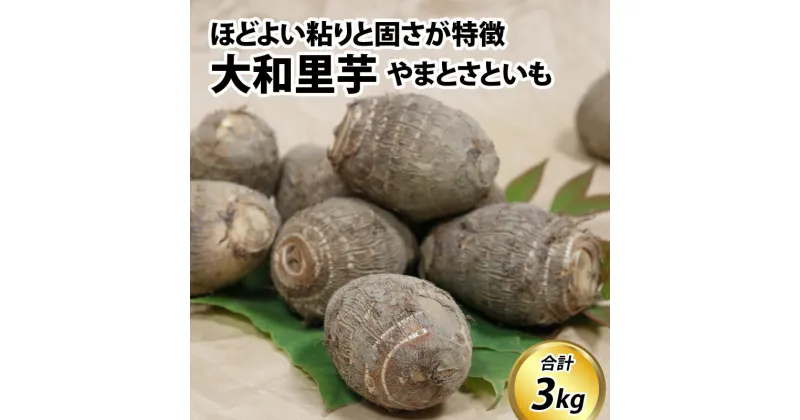 【ふるさと納税】【先行予約】さといも　大和里芋（やまと）3kg【11月上旬以降順次発送】 / 期間限定 産地直送 常温発送 土付き 煮物 味噌汁 煮っころがし サトイモ 野菜 富山県 滑川市