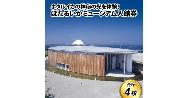 【ふるさと納税】ほたるいかミュージアム入館券 【能登半島地震復興支援】/ 4枚 水族館 博物館 観光 体験型 子供 大人 老若男女 家族旅行 ファミリー 富山湾 富山県 滑川市