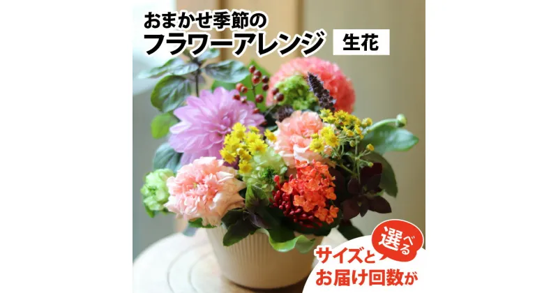 【ふるさと納税】お花 ギフト 季節のフラワーアレンジ（生花）サイズとお届け回数が選べる / プレゼント 母の日 お祝い 米寿 金婚式 結婚祝い 冬 フラワーギフト フラワーアレンジメント 花束 カゴ バスケット 誕生花 花屋 植物 かわいい 富山県 滑川市 コンシェルジュ