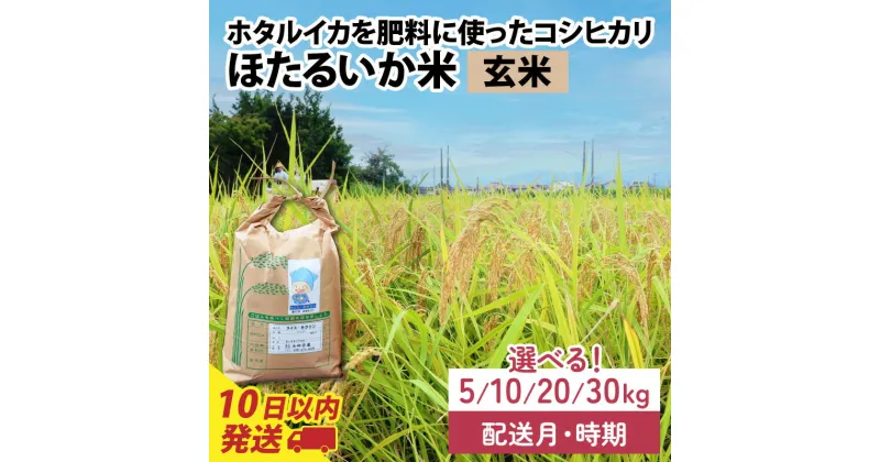 【ふるさと納税】【訳あり】ほたるいか米（玄米）選べる容量（5kg／10kg／20kg／30kg）選べる配送時期（1月～12月※各月上旬／中旬／下旬）【通年発送】 9月より新米！ / 農家直送 訳あり お米 おこめ こしひかり コシヒカリ ホタルイカ 富山県 滑川市 国産 送料無料