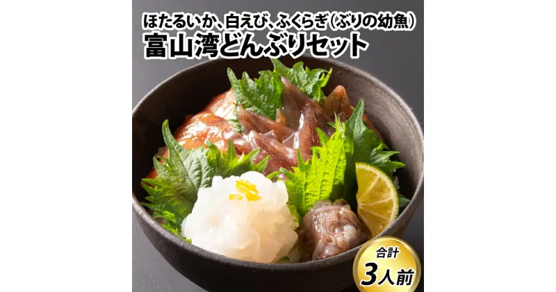 【ふるさと納税】海鮮丼 富山湾どんぶりセット 約3人前【数量限定】【能登半島地震復興支援】 / お歳暮 冷凍 朝どれ ほたるいか ホタルイカ 刺身 海老 白えび 白エビ ふくらぎ ブリ ぶり 漬け 観光 旬 ギフト お取り寄せグルメ 富山県 滑川市 国産 送料無料