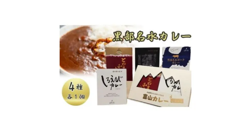 【ふるさと納税】黒部名水カレー（4種類）　【 カレー レトルト 保存食 非常食 惣菜 スープカレー 】