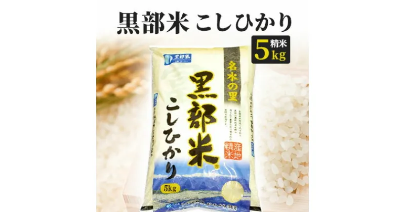 【ふるさと納税】米 令和6年 黒部米 コシヒカリ 5kg 精米 白米 こしひかり お米 / 黒部市農業協同組合 / 富山県 黒部市　 冷めても 粘り しっとりとした甘み おいしさが持続 　お届け：2024年10月から順次出荷