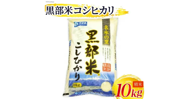 【ふるさと納税】米 令和6年 黒部米 コシヒカリ 10kg 精米 白米 こしひかり 米/黒部市農業協同組合/富山県 黒部市【ご飯 名水】　 お米 しっとりした甘み おいしさが持続 　お届け：2024年10月から順次出荷