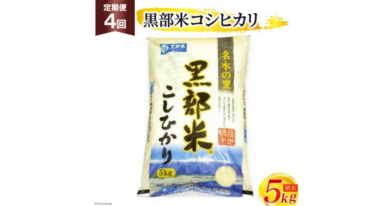 【ふるさと納税】定期便 米 黒部米 コシヒカリ 5kg×4回 総計20kg 精米 白米 こしひかり お米 /黒部市農業協同組合/富山県 黒部市　定期便・ 黒部川扇状地 5kg