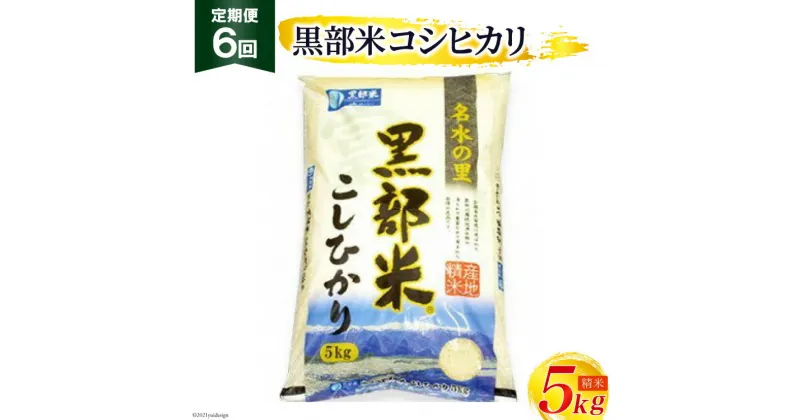 【ふるさと納税】定期便 米 黒部米 コシヒカリ 5kg×6回 総計30kg 精米 白米 こしひかり お米 /黒部市農業協同組合/富山県 黒部市【ご飯 名水】　定期便・ 6か月連続 5kg