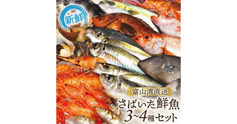 【ふるさと納税】魚 富山湾直送 さばいた鮮魚セット 3～4種 旬 新鮮 鮮魚 刺身 詰め合わせ 産地直送 冷蔵/くろべ漁業協同組合 魚の駅「生地」/富山県 黒部市　 海鮮 魚介類 魚介 セット