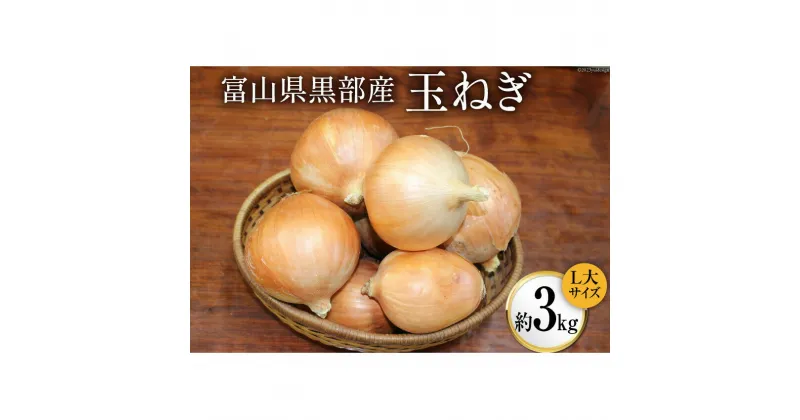 【ふるさと納税】玉ねぎ 1箱 約3kg（L大サイズ）/くろべの太陽/富山県 黒部市　 野菜 たまねぎ タマネギ 　お届け：2023年7月上旬より順次出荷となります。※寄附申込がお盆・連休前後の場合や寄附申込が集中した場合は、お届けまでお待たせすることがございます。