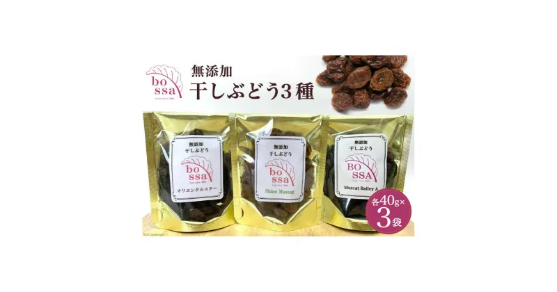 【ふるさと納税】無添加 干しぶどう 3種セット 各40g×1袋 計3袋 食べ比べ 期間限定 国産 レーズン ドライフルーツ 砂糖不使用　 ブドウ お菓子 スイーツ フルーツ 　お届け：2024年11月以降順次発送