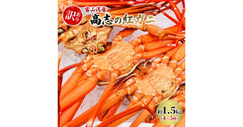 【ふるさと納税】【訳あり】富山湾産カニ 高志の紅ガニ お買い得 約1.5kg（4～5杯）富山県黒部市/紅ズワイ カニ 漁師直販 恵比須丸　 蟹のむき身 鮮度抜群 風味豊か イベント 集まり お祝い 　お届け：2024年10月中旬～2025年5月上旬