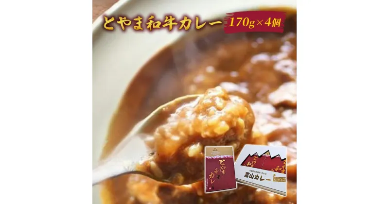 【ふるさと納税】とやま和牛カレー170g×4個セット/富山県黒部市 保存食 非常食 送料無料 レトルトカレー カントリーキッチン　【加工食品・惣菜・レトルト】