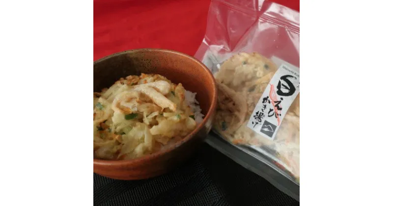 【ふるさと納税】富山産白えび入りかき揚げ【かき揚げ丼の具10食セット】【配送不可地域：離島】【1491463】