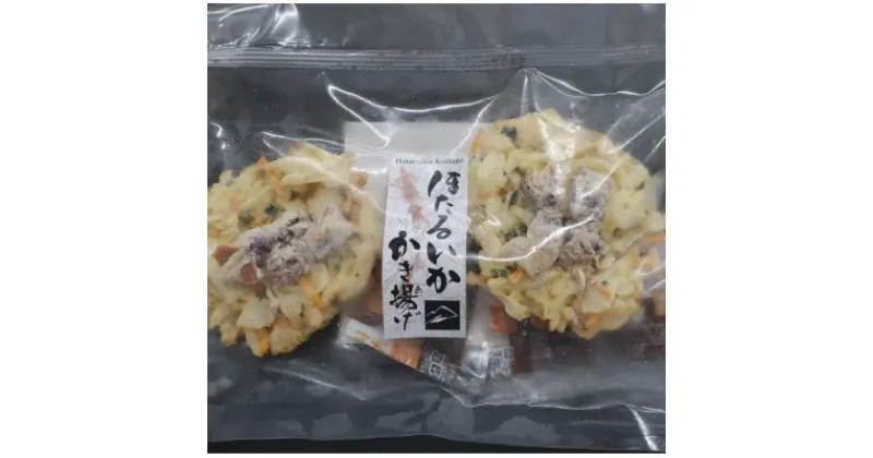 【ふるさと納税】富山産ほたるいか入りかき揚げ【かき揚げ丼の具10食セット】【配送不可地域：離島】【1551201】