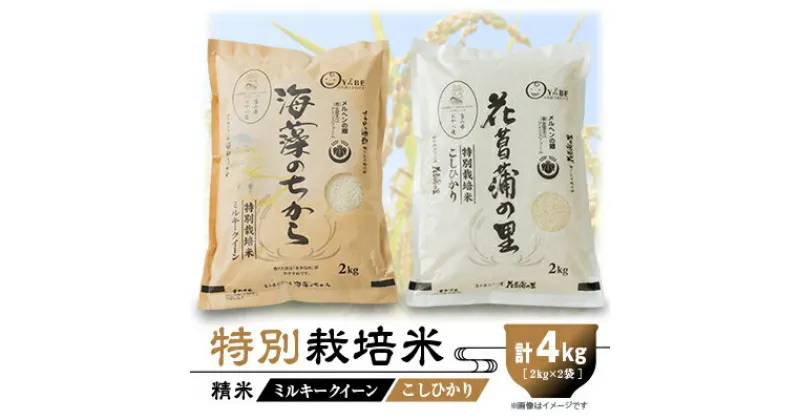 【ふるさと納税】特別栽培米4kg(精米/ミルキークイーン・コシヒカリ 各2kg)【1290531】