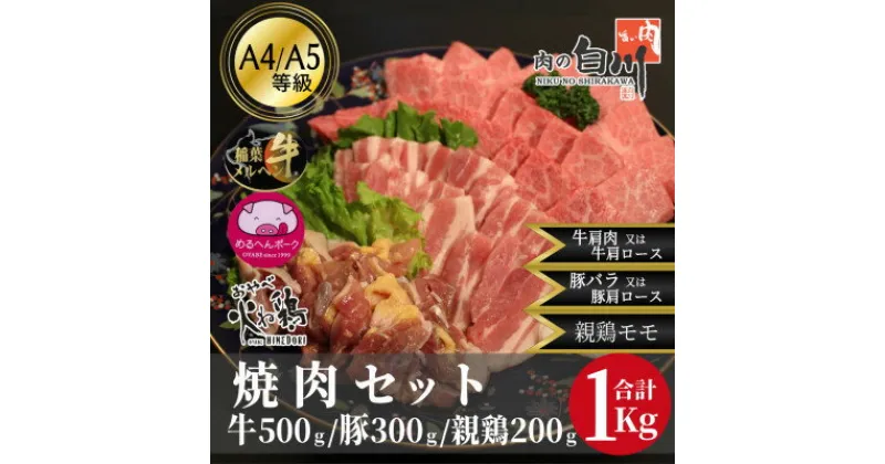 【ふるさと納税】おやべのお肉焼肉セット1kg(和牛カルビ500g・豚300g・親鶏200g)【配送不可地域：離島・北海道・沖縄県・東北・中国・四国・九州】【1291450】