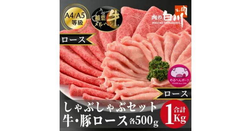 【ふるさと納税】牛豚しゃぶしゃぶセット1kg(和牛ロース500g・豚ロース500g)【配送不可地域：離島・北海道・沖縄県・東北・中国・四国・九州】【1291454】