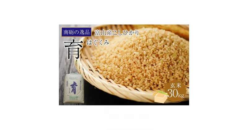 【ふるさと納税】【令和6年産】富山県産こしひかり　育（はぐくみ）玄米30kg《南砺の逸品》