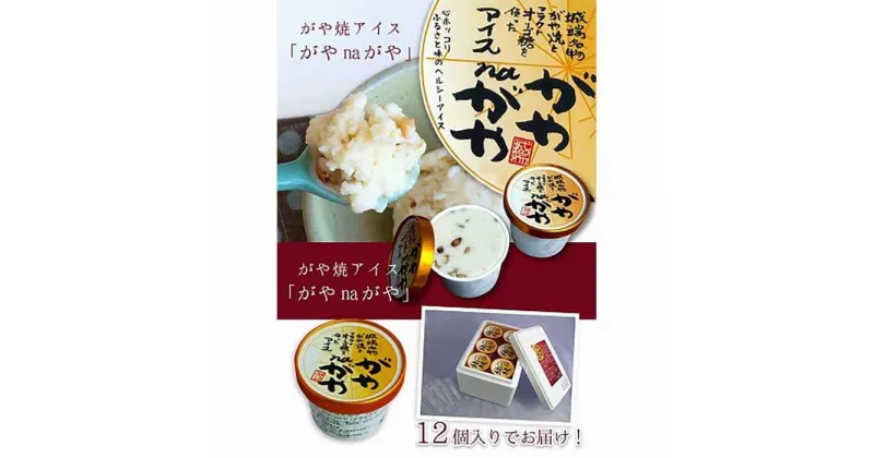 【ふるさと納税】がや焼アイス「がやnaがや」 カップ132ml×12個