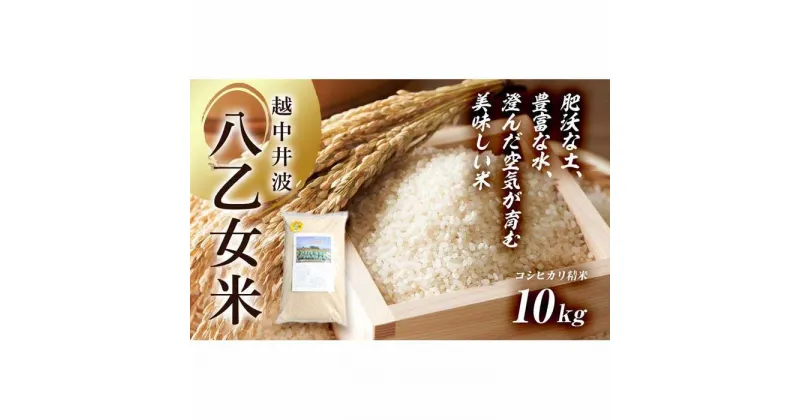 【ふるさと納税】令和6年産 越中井波八乙女米 10kg | お米 こめ 白米 食品 人気 おすすめ 送料無料 産地直送