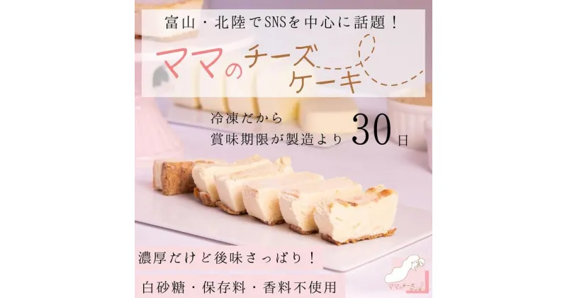 【ふるさと納税】【濃厚だけど後味すっきり！】とろける食感のママのチーズケーキ