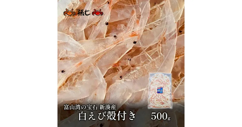 【ふるさと納税】【数量限定】白えび殻付き500g　海老 エビ 白えび殻付き