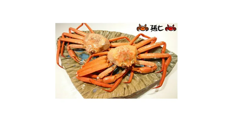 【ふるさと納税】紅ズワイガニ約1kg（2～3尾）　ずわい蟹 ずわいガニ ズワイガニ 紅ズワイガニ 約1kg　お届け：2024年9月中旬から2025年3月末　※発送まで1か月以上かかる場合があります。