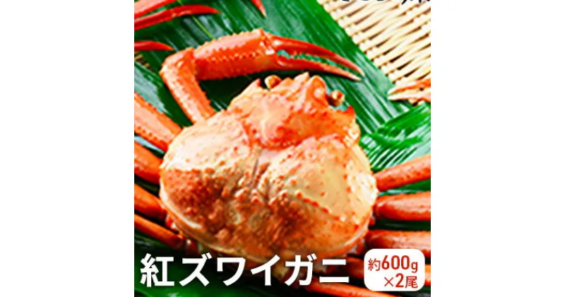 【ふるさと納税】【おすすめ】紅ズワイガニ約600g×2尾　ずわい蟹 ずわいガニ ズワイガニ 紅ズワイガニ　お届け：2024年9月中旬から2025年3月末　※発送まで1か月以上かかる場合があります。