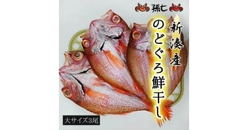 【ふるさと納税】【新湊産】のどぐろ鮮干し（大サイズ3尾）　魚貝類 のどぐろ 干物 のどぐろ鮮干し ノドグロ　お届け：※出漁・水揚げ状況により、発送までお時間をいただく場合があります。